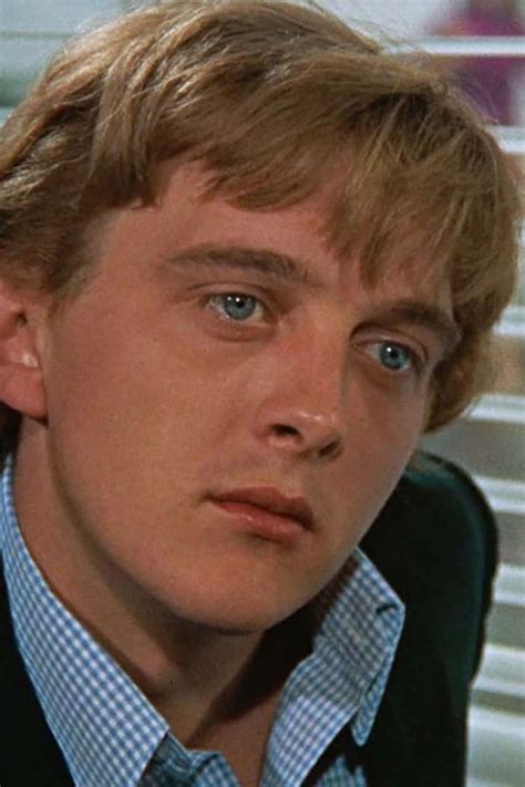 david hemmings actor biography