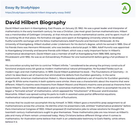 david hilbert biography summary example
