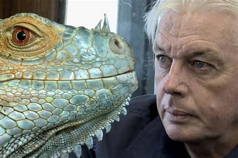 David Icke X