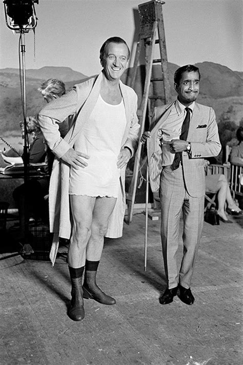 David Niven Jr