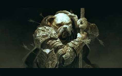 david rapoza biography