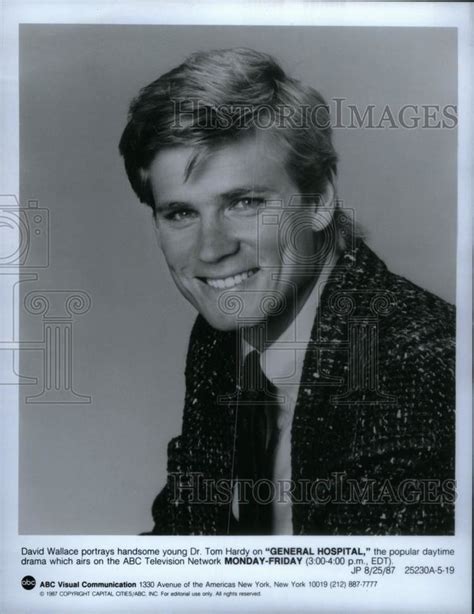 david wallace biography