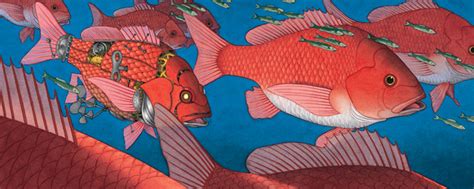 david wiesner illustrations