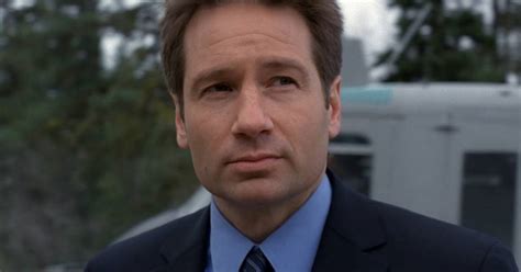 David William Duchovny