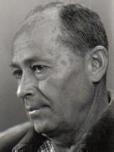 david zehavi biography