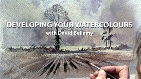 Full Download David Bellamys Developing Your Watercolours Techniques To Impr 