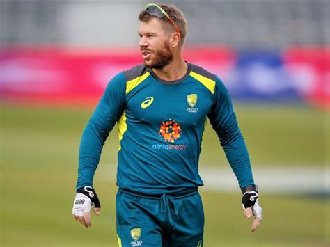 Full Download David Warner 