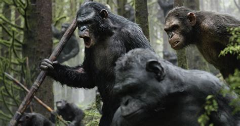 Dawn Of The Apes