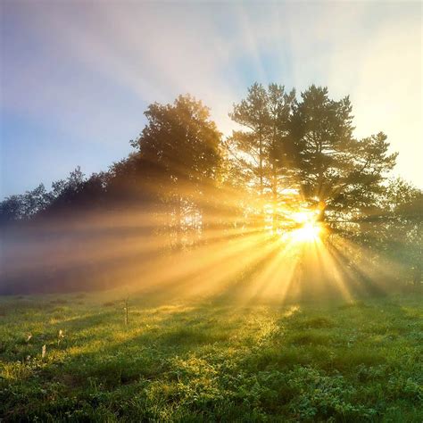 Day Of The Sun