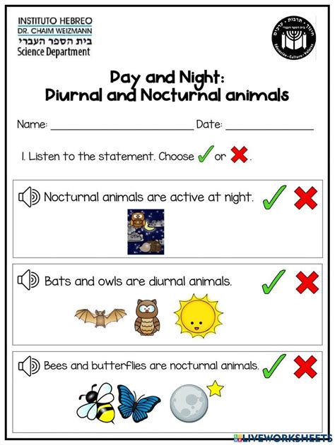 Daytime Diurnal And Nighttime Nocturnal Animals Activity Daytime And Nighttime Activities - Daytime And Nighttime Activities