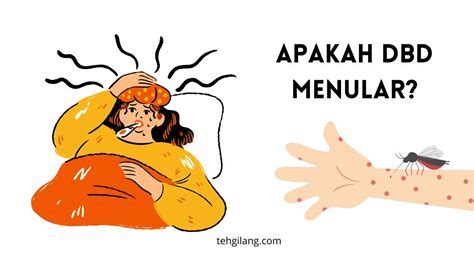 dbd apakah menular | Hukuman tegas untuk cegah demam berdarah Vietnamvn