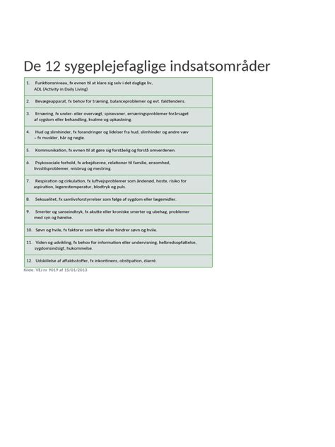De 12 Sygeplejefaglige Problemområder