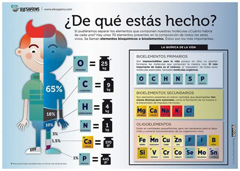 De Que Estamos Echos