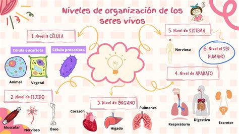 De Que Estamos Hechos
