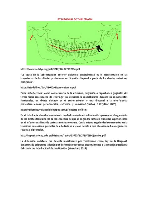 de thieleman biografie