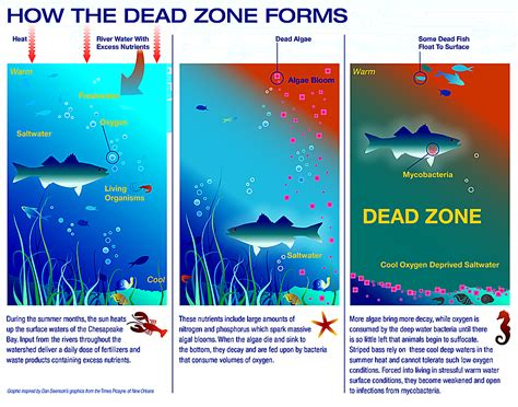Read Dead Zones 