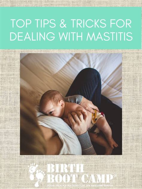 Read Online Dealing With Mastitis Ilca Inside Track Pdf 
