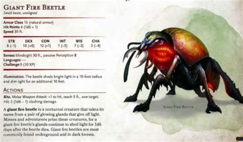 Death Beetle 5e