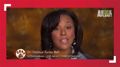 debbye turner bell biography