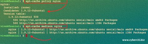 debian show package version
