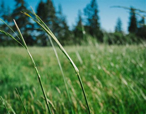 Instagram post by Carroll Schmidt #4