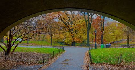 December Park