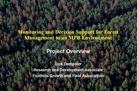 Decision Support For Forest Management Managing F