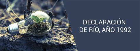 Declaracion Del Rio