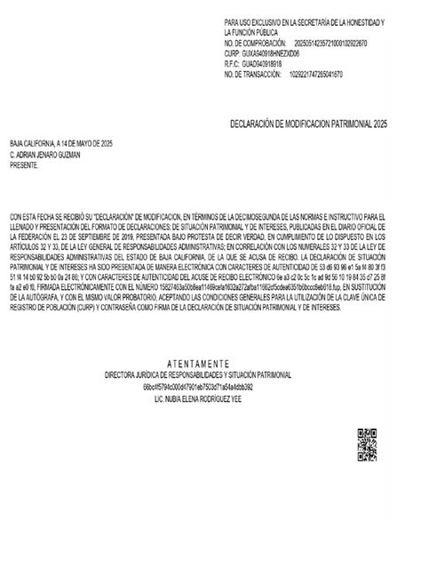 Declaranet Michoacan 2024