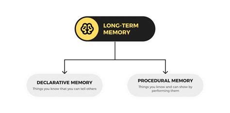 Declarative Memory And Procedural Memory