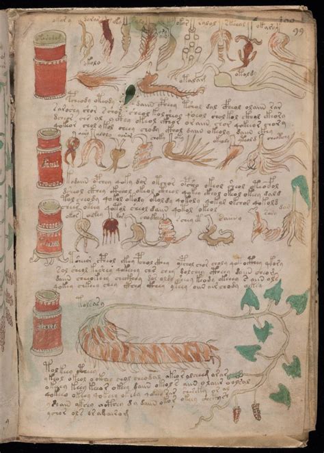 Decoded Voynich Manuscript