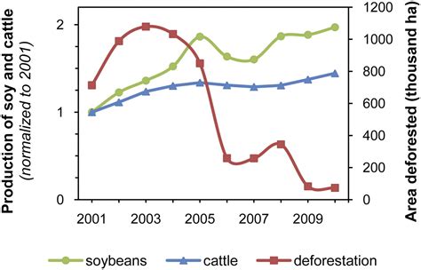 Decoupling Of Deforestation And Soy Production In The
