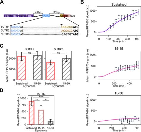 decreasing translation