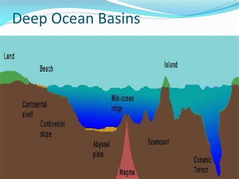 Deep Ocean Basin