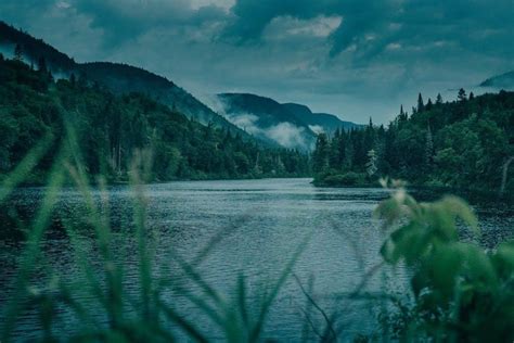 Deep River Clausen Pdf