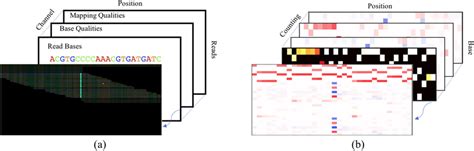 Deepvariant Input Depth Must Be Evenly Divisible By Filter Depth