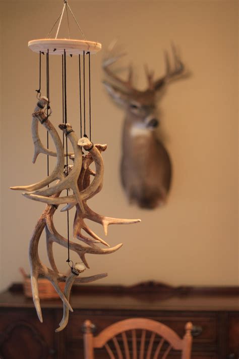 deer antler decorating ideas