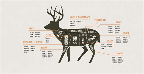Deer Butcher Chart