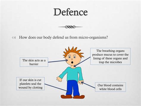 Defence Against Disease Teaching Resources Body Defenses Worksheet - Body Defenses Worksheet