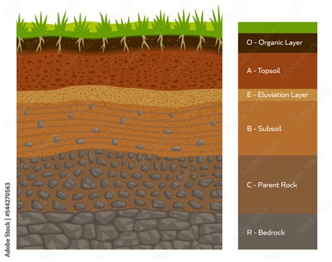 Define Bedrock