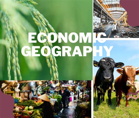 Define Economic Geography