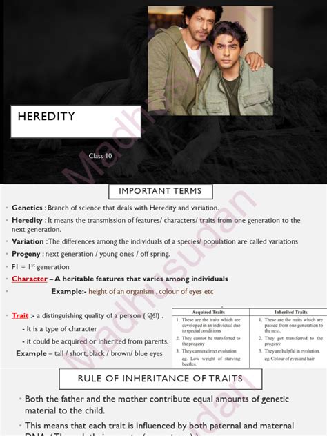 Define Heredity Class 10th