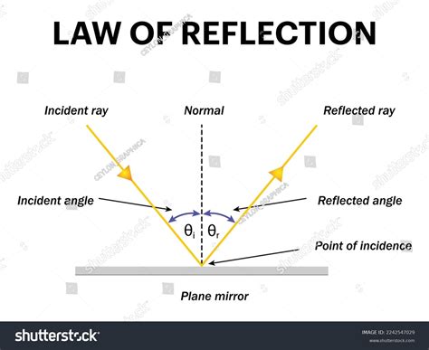 Define Law Of Reflection