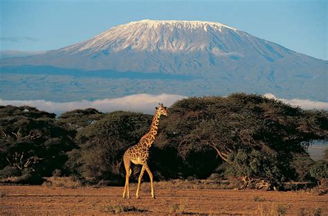 Define Mount Kilimanjaro