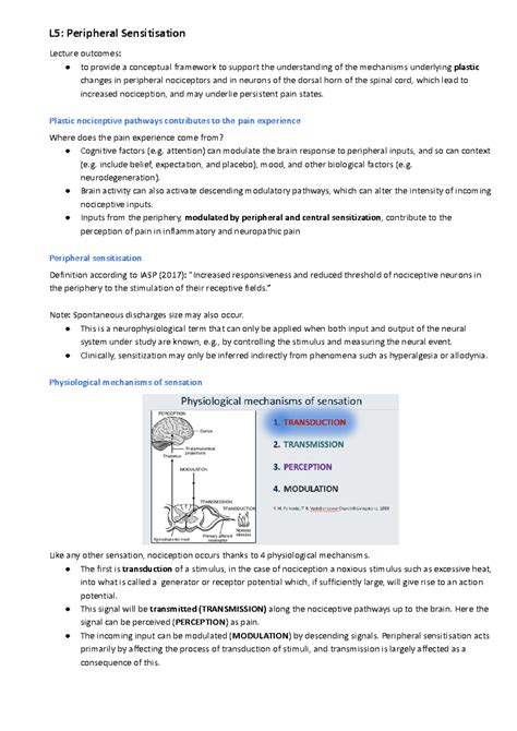 Define Peripheral Sensitisation