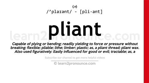 Define Pliant