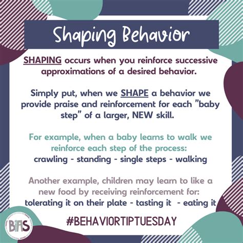 Define Shaping Behavior