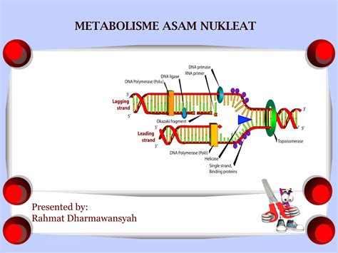 definisi NAAT: Asam nukleat amplifikasi tes - Nucleic Acid ...