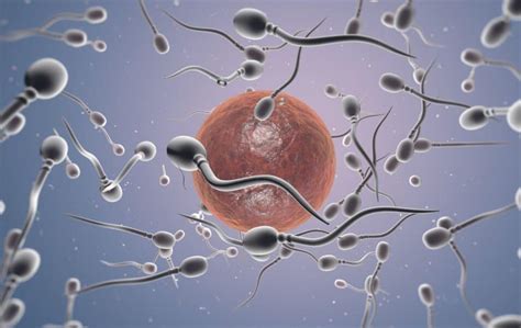 definitie onvruchtbaar