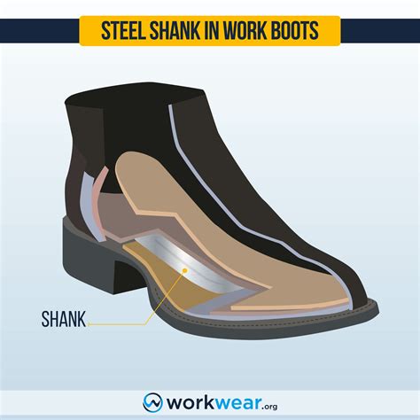 Definition Of A Shank